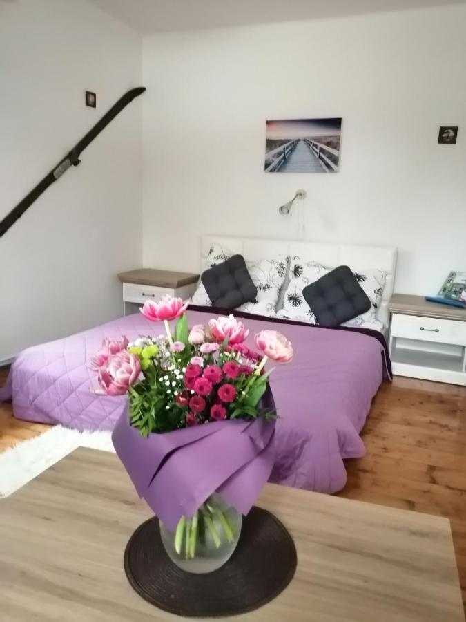 Apartment Patrick Harrachov Dış mekan fotoğraf